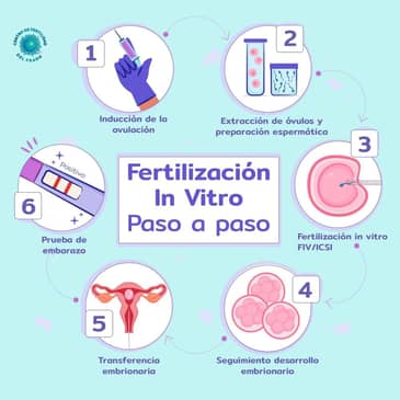 Slider image (2) Centro de Fertilidad del Prado